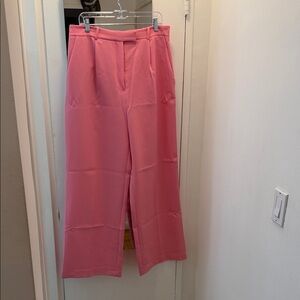 Zara Vibrant Pink Pants